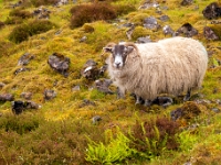 Isle of Skye, Quiraing